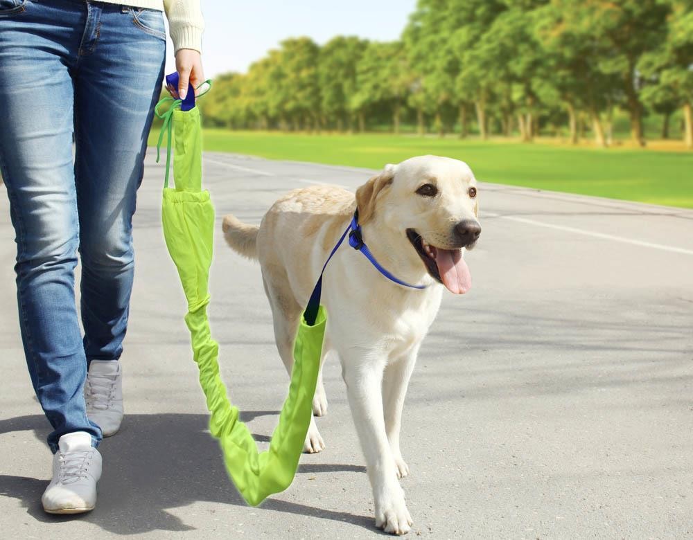 Reflective Dog Leash Set